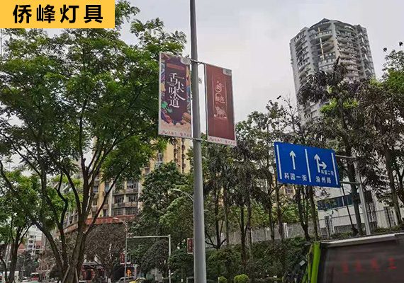 重慶高低彎道路路燈桿案列